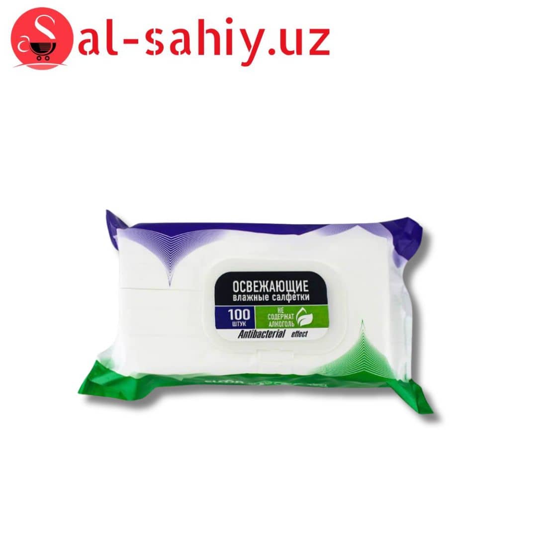 Влажные салфетки ELMA 100/18 Antibacterial 1