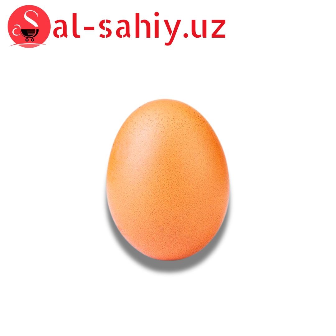Тухум ДОМАШНЫЙ 1 шт