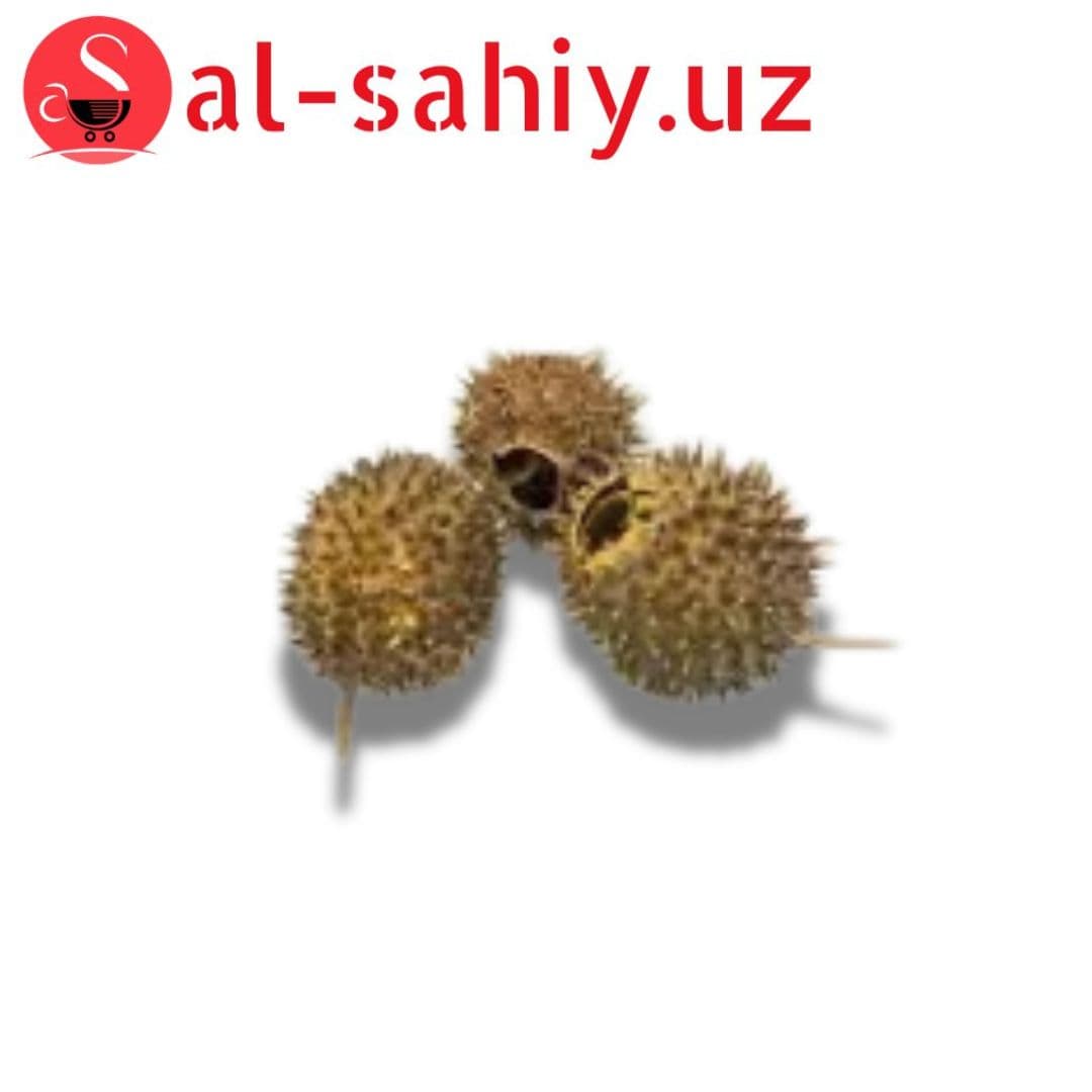 Бурнаки